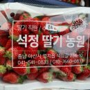 홍희농원