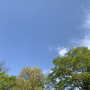 성산패총 | 창원 겹벚꽃 명소 성산패총🌸, 부산 근교 겹벚꽃 나들이 가기 좋은 곳