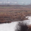 모아2리 이미지