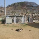 풍요의 정원 이미지