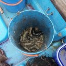 이로운바다 이미지