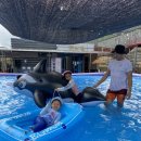 진산애행복누리마을 이미지