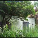 금일읍-5 이미지