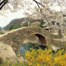 원다리길 이미지