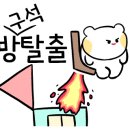 홍이줄눈 네이버블로그