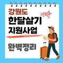 태백시청 | 2025 강원도 한달살기 지원사업 총정리(지원대상, 지원금, 신청방법)
