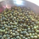 복동농장 이미지