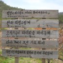 와보랑께박물관 이미지