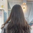 로아헤어 - 계양구 | 로아헤어