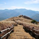 증산초교 이미지