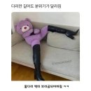 달라짐 이미지