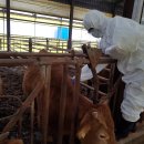 연합가축병원 이미지