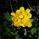 합동전국공인중개사사무소 이미지