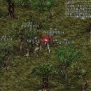 퍼피클래식 이미지