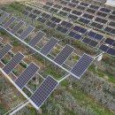 호수A태양광발전소 이미지