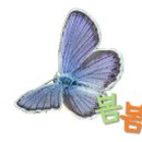 김상희공인중개사사무소봄봄 이미지