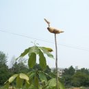 산너머농장 이미지