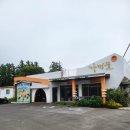 남매농장 | 🧡귤보다 예쁜 추억 수확한 날🍊귤보다 더 달콤했던 하루! 최남단체험감귤농장 후기🐟