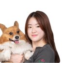황동물병원 이미지
