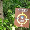 원주굽이길 16코스 매지순환둘레길 이미지