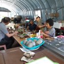 솔숲농원 이미지