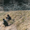 아가미 이미지