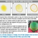 파라핀왁스