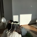 힐튼 가든 인 서울 강남 이미지