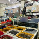 남해군 수협회센타횟집 이미지