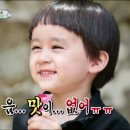 속초홍게라면 네이버블로그