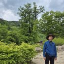 조욱 선생묘 | 경기도 양평 용문사(龍門寺)
