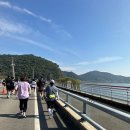 [전남 마라톤] 2024 MBN 전국 나주 마라톤대회 10km 완주했어요!