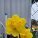 서희농장 이미지