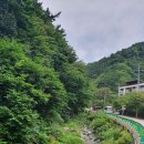 도동천 이미지