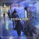 섬진강어류생태관 | [구례 여행] 아이랑 가볼 만한 구례 여행지. 1년 만에 다시 와보는 섬진강어류생태관 방문 후기