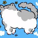 희도민박