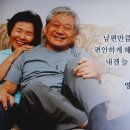 인천집 Daum카페