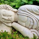 선풍공인중개사사무소 이미지