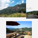 산향기의 속리여행 이미지