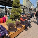 불광천변 이미지