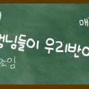 옷 힙하게 입는 친구 생일선물로 팔찌 해주려는데… 어떤 브랜드가 좋을까 이미지