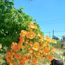 현대자동차 연지점 이미지