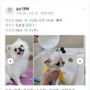 마이온펫