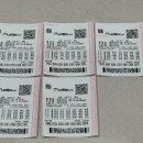 1217 | 📢1217회 로또 당첨번호 분석 후기 | 3만원 구매 결과 5천원 당첨 리뷰