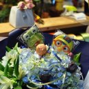 달안초등학교병설유치원 이미지