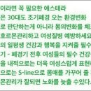 에스테라 이미지