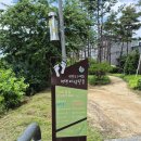 통복천 | 맨발걷기 효과 직접 체험! 평택 통복천에서 걷기 좋은 길