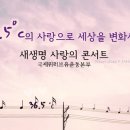 새명(유) Daum카페