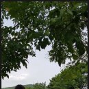 홀스킹덤 팜스테이 이미지