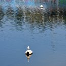 장림포구 이미지